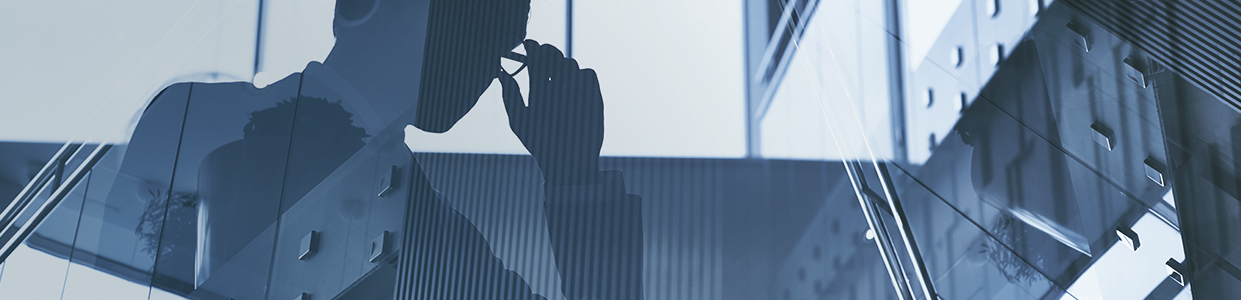 Как выбрать учетную систему для холдинга: 1С:ERP или 1С:ERP УХ